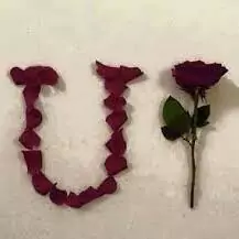 whatsapp u alphabet dp